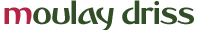 moulaydriss-logo